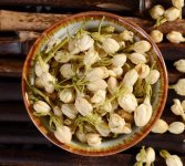 鮮茉莉花怎么炮制成茶？